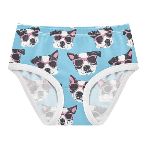 ZZKKO Sunglasses Dog Head Blue Girls Underwear Toddler Panties for Girls Comfort Brief Size 2T-8Y