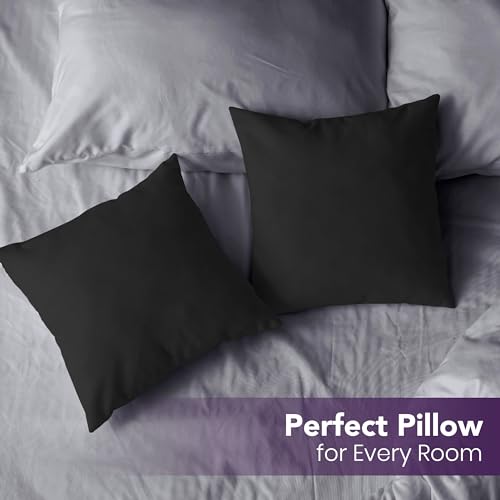 Image of Utopia Bedding Throw Pillows Insert (Pack of 2, Black) - 20 x 20 Inches Bed and Couch Pillows - Indoor Decorative Pillows