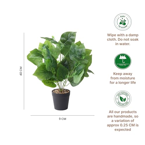 Image of Habere India-All the Cultures Fabricating India Tropical Philodendron Artificial Plants with Pot for Home Decor | Small Fake Plants for Living Room & Indoor Decoration (Design06: L9 x W9 x H40 cm)
