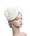 Cizoe Fascinator Hair Clip Pillbox Hat Bowler Feather Flower Veil Wedding Party Hat Tea Hat (1-Beige)
