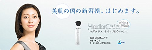 HadaCRiE 洗顔器 WB-K01 熊野筆コラボ Amazon.co.jp: WB-K01-N(ゴ-ルド) 熊野筆 泡立て洗顔エステ