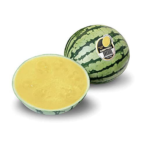 Mini Seedless Sunnygold Watermelon