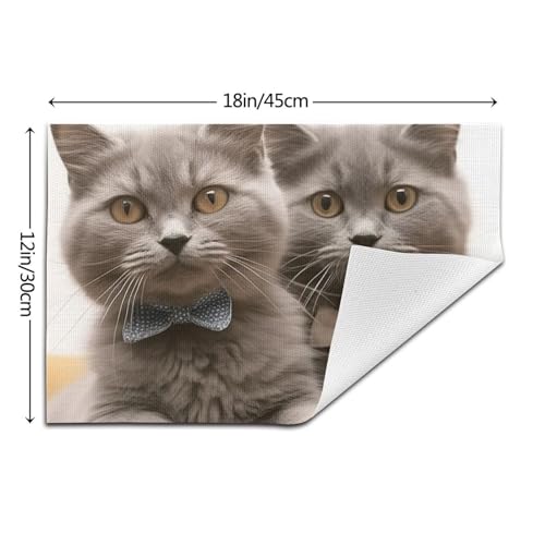 Set de table cuisine et fêtes motif chat amusant pour repas convivial - 3
