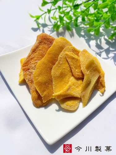 今川製菓 ドライマンゴー切り落とし 1kg