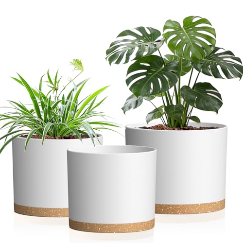 Areutxbis 10/9/8 Inch Large Plant Pots with Drainage Holes and