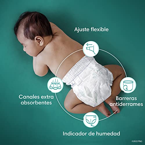 Image of Pampers Diapers