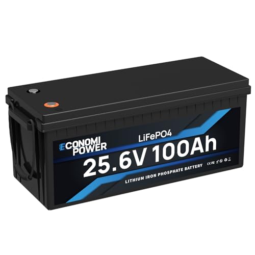 EconomiPower LiFePO4 100Ah 24V Batterie, 2560Wh Lithiumbatterie mit 100A BMS, Max 15000 Tiefenladezyklen, Perfekt für Wohnmobile, Vans, Trolling Motor, Boote und Solare Heimanlagen