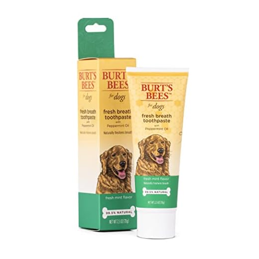 Burt's Bees for Dogs Fresh Breath Toothpaste for Dogs with Peppermint Oil | 99.5% Natural Dog Toothpaste in Fresh Mint Flavor to Naturally Freshen Dog Breath | Dog Oral Care Dog Toothpaste, 2.5 Oz