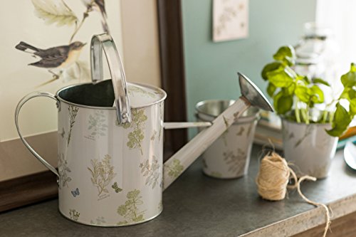Premier Housewares 2450022 5 Liter Gießkanne – Natur/Grün