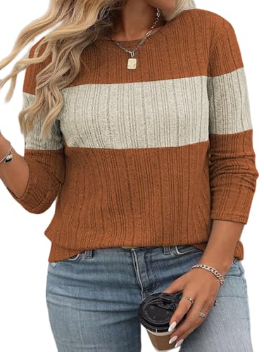 VISLILY Plus-Size-Womens-Tops Casual Color Block Long Sleeve Shirts Lightweight Knit Pullover Sweaters Trendy Tunics Blouses2