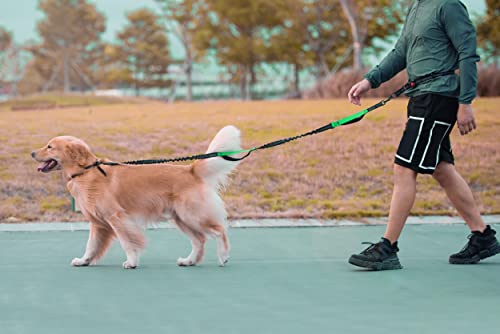 Iyopets Hands Free Dog Leash For Running, Walking, Hiking, Durable Dual-Handle Bungee Leash With Reflective Stitching And An Adjustable Waist Belt, For Up To 150 Lbs Large Dogs (Medium/Large, Black) #TOP6