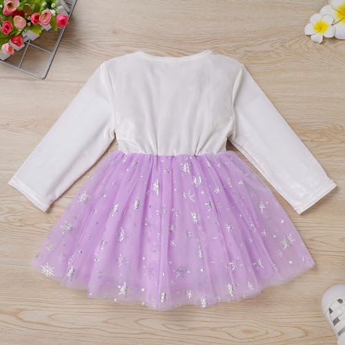 Baby Girls Winter Snowflake 1st Birthday Outfit Velvet Princess Dress + Headband Christmas Cake Smash Photo Shoot3