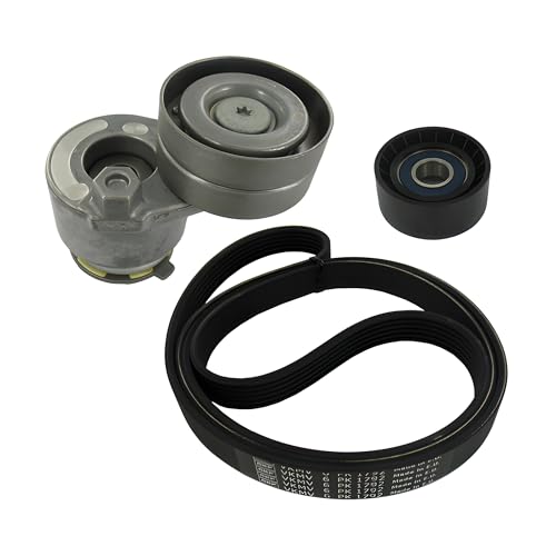 Courroie SKF VKMA 36033 kit multi-V haute résistance pour transmission durable