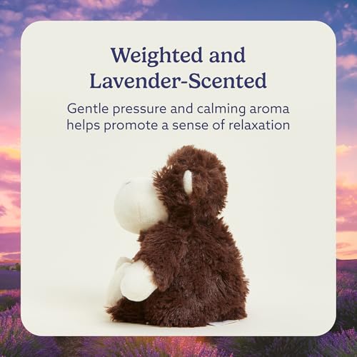 warmies Junior Microwavable & Weighted Stuffed Animals, Monkey - Heated Stuffed Animal Plushie for Warmth & Comfort - Cute Soft Plush Toys for Adults & Children (Boys, Girls, Babies & Toddlers)