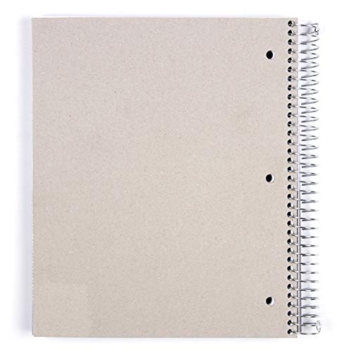 Mintra Office Durable Spiral Notebooks, 5 Subject, (Teal, College Ruled) 1 Pack, 200 Sheets,Poly Pockets, Moisture Resistant Cover, School, Office, Business, Professional #TOP3