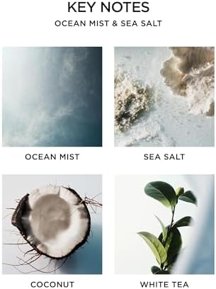 NEST New York Scented 3-Wick Candle, Ocean Mist & Sea Salt - 21.2 oz - Up to 100-Hour Burn Time - Reusable Glass Vessel — view 3