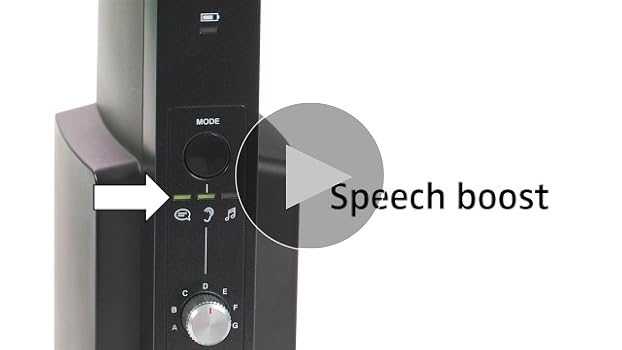 Amazon.com: Sennheiser Consumer Audio Sennheiser RS 195 RF