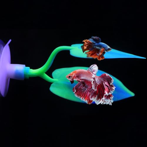 Image of 2PCS Silicone Betta Fish Leaf Hammock, Aquarium Fish Tank Resting Spot Bed for Betta Fish