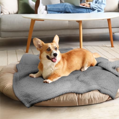 furrybaby Premium Soft Dog Blanket for Medium Small Dogs Puppy Cat Washable Sherpa Fleece 80x100 cm Pet Throw for Bed Furniture Couch Sofa Protection(Medium, Grey Blanket)