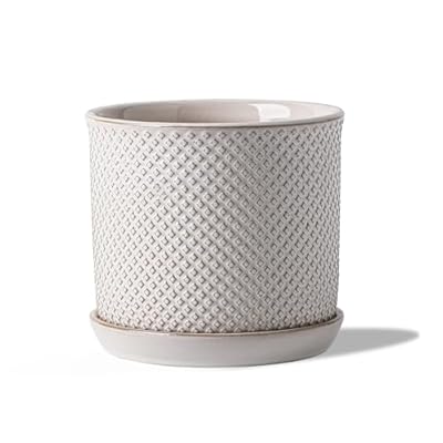 Chubacoo Ceramic Planter with Bonded Tray