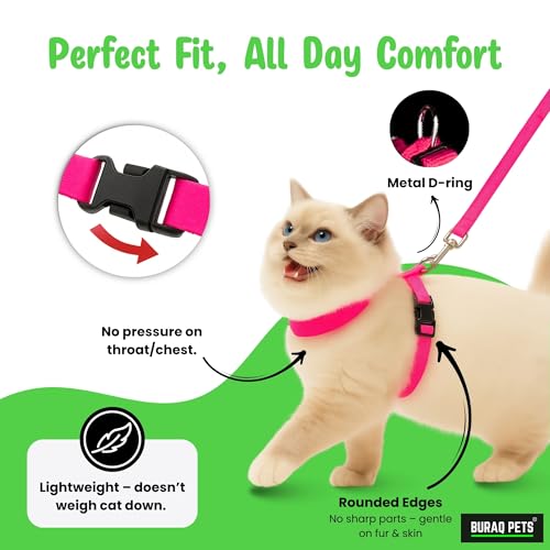Buraq Pets Plain Full Body Cat Harness with Leash Set for Walking, Outdoor, Escape Proof Cat Belt, Adjustable & Durable Ideal Accessories for Cats (Black)