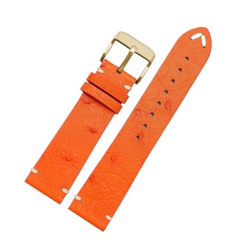 [X] 20 22mm uXbg bNXɓK ZCR[ubNO[ɓK EH[^[S[XgɓK eB\ɓK IKɓK _`EvvohɓK YуfB[XvXgbv(A-orange-gold,22mm)