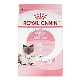 Royal Canin Feline Health Nutrition Mother & Babycat Dry Cat Food for Newborn Kittens and Pregnant or Nursing Cats, 6 lb bag