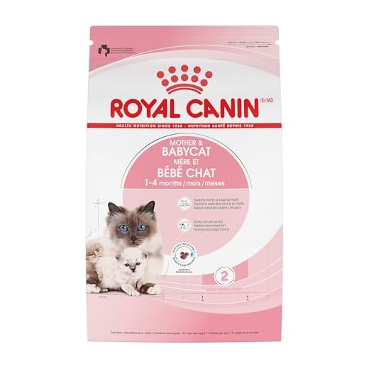 Royal Canin Mother & Babycat Dry Cat Food