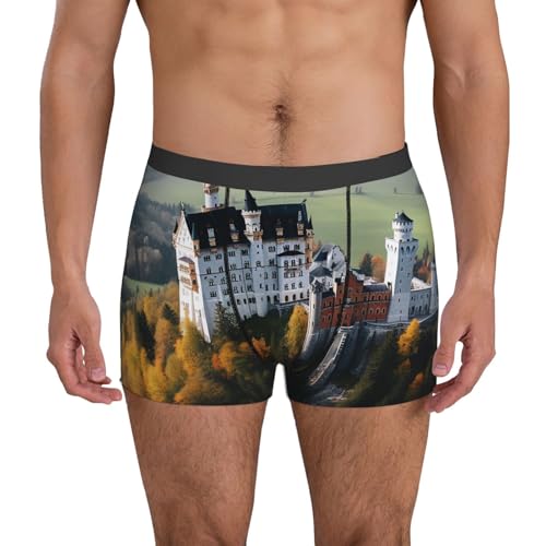 Men's Underwear Germany Neuschwanstein Castle Boxer Briefs, Stretch Moisture-Wicking Trunks and Boxer Brief for Men 7