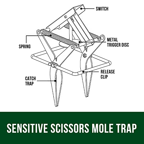 Garsum Mole Traps That Kill thumb #4
