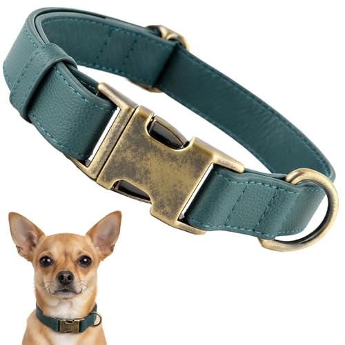 Image of B&F Dog Collar for Small Dogs Silicone Leather Dog Collars Soft Flexible Waterproof Odor-Proof Durable Thick Classic Adjustable Pet Puppy Collar (Green, XS (9-12 inch Neck))