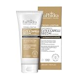 Euphidra