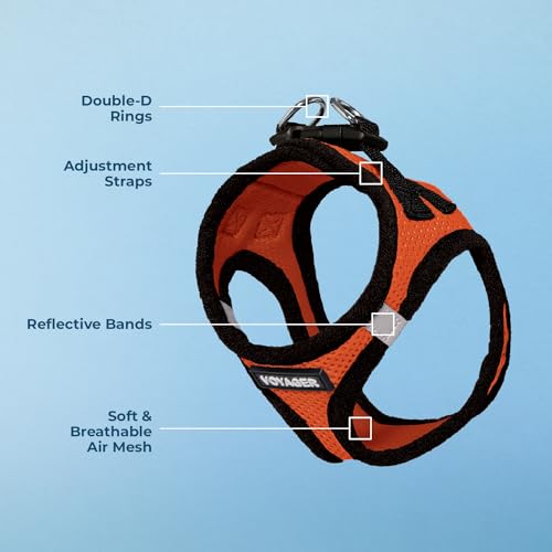 Image of Voyager Step-in Air Dog Harness - All Weather Mesh, Step in Vest Harness for Small and Medium Dogs by Best Pet Supplies - Orange Base, S (Chest: 14.5 - 17 inch)