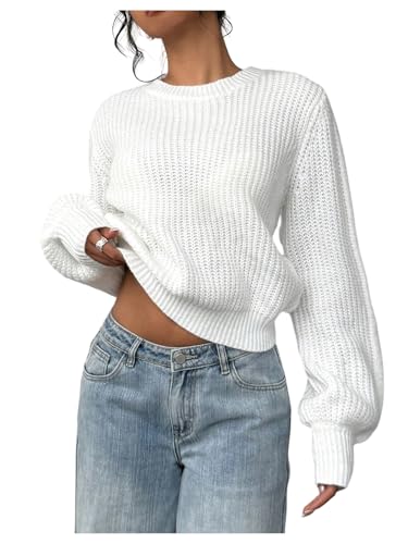 WDIRARA Women's Ribbed Knit Pullover Sweater Long Lantern Sleeve Crew Neck Knitwear Tops