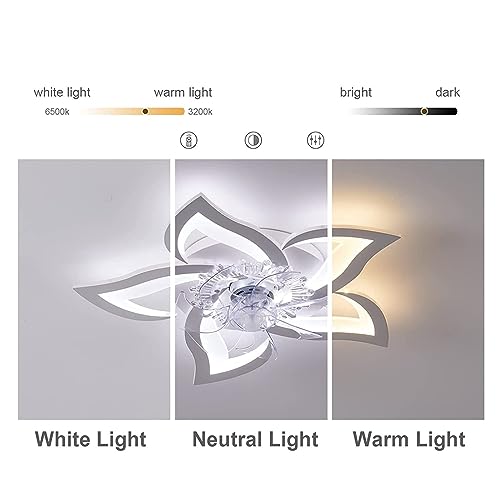 Ventilateur de plafond LED avec éclairage et télécommande pour salon