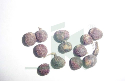 Urancia® Natural Kakmari Cocculus suberosus Indian berry Kakakulli SEED (B071G6HKQS) Amazon Price History, Amazon Price Tracker