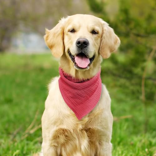 ICEMOOD Haustier-Baumwoll-Bandanas mit verstellbarem Druckknopf für kleine Welpen – Einfarbiges Hundehalstuch,Wein Rot,M