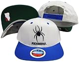 Richmond Spiders Grey/Blue Two Tone Plastic Snapback Adjustable Plastic Snap Back Hat/Cap