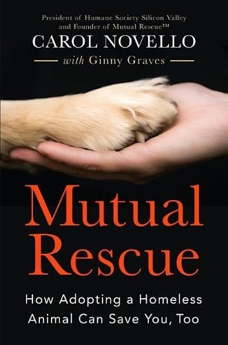 Mutual Rescue: How Adopting a Homeless Animal Can Save You,