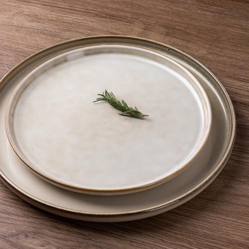 GBHOME Ceramic Dinnerware Sets for 6, 18 Pieces Stoneware Plates and Bowls Sets, Scratch Resistant Dishes, Dishwasher & Microwave Safe, Reactive Glaze-Cappuccino