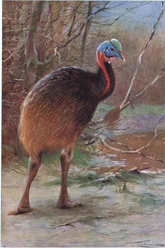 Cuadro de óleo Cassawory de Wilhelm Kuhnert para transformar tu salón 60x90cm