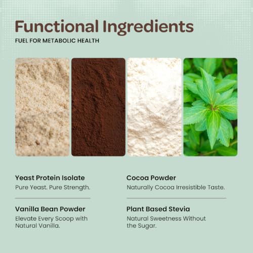 Image of Bigmuscles Nutrition Clean Yeast Protein Isolate (1kg, Choco Noir) | 31g Protein, 7g BCAA | Superior Absorption, Gut Friendly | PDCAAS -1 | Fermentation-Derived