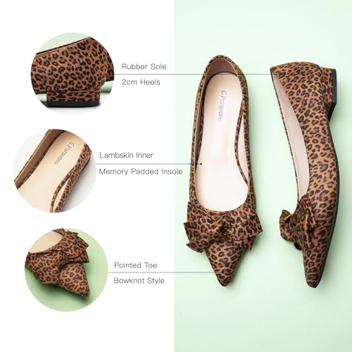 C.Paravano Pointy Bow Flats Women's Flats Ballet Shoes for Women4