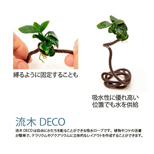 Amazon | 水作 流木DECO つる 2本 | 水作 | 木 通販