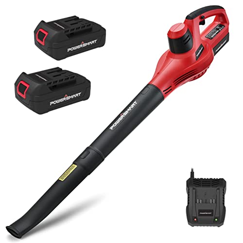 Top 10 Best Cordless Leaf Blower Consumer Reports [Top Picks 2023 Reviews]