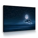 UIRINGART Lienzo Noche Estrellada Azul Arte De Pared Delfín Saltando De Agua Pintura Obra De Arte Para Oficina Sala De Estar Dormitorio Decoración De Pared 35x55cm Marco Interior