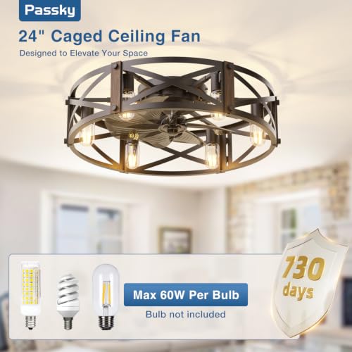 Image of Passky 24 inch Caged Ceiling Fans with Lights and Remote, Low Profile Fandelier