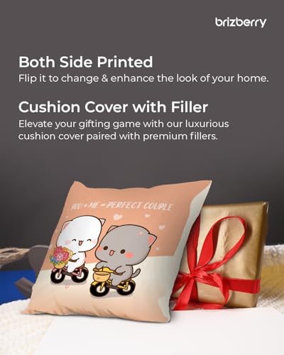 Image of Brizberry Peach and Goma Mochi Cat Pillow Cushion, 16x16 Inch, Polyester Fill, Throw Pillow, Luxury, Square, Indoor, Reversible (Design 45)