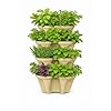 Stackable Vertical Planter Tower, 4 Tier Strawberry Planter,16 Plant Sites, Space Saving Garden Planter for Vegetables & Herbs, Indoor Outdoor, Made in USA (Desert Sand) #5