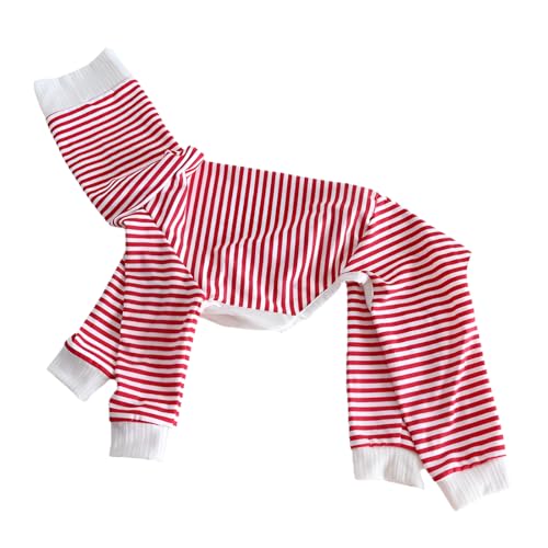 [Firmiarii]^  lfUC Rbg ppW} C^O EBybg Ή XgCv  y Vc ̉K  AEghAp (  , XS-XXL)  S